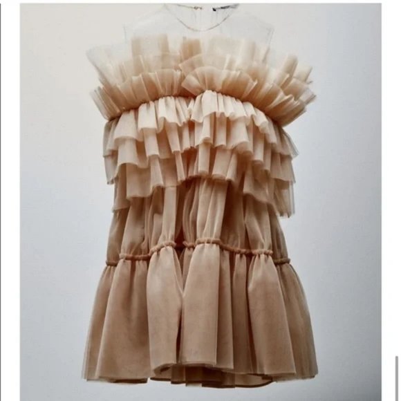 ZARA NYC BALLET TULLE DRESS BEIGE PINK LIMITED EDITION - Picture 4 of 6